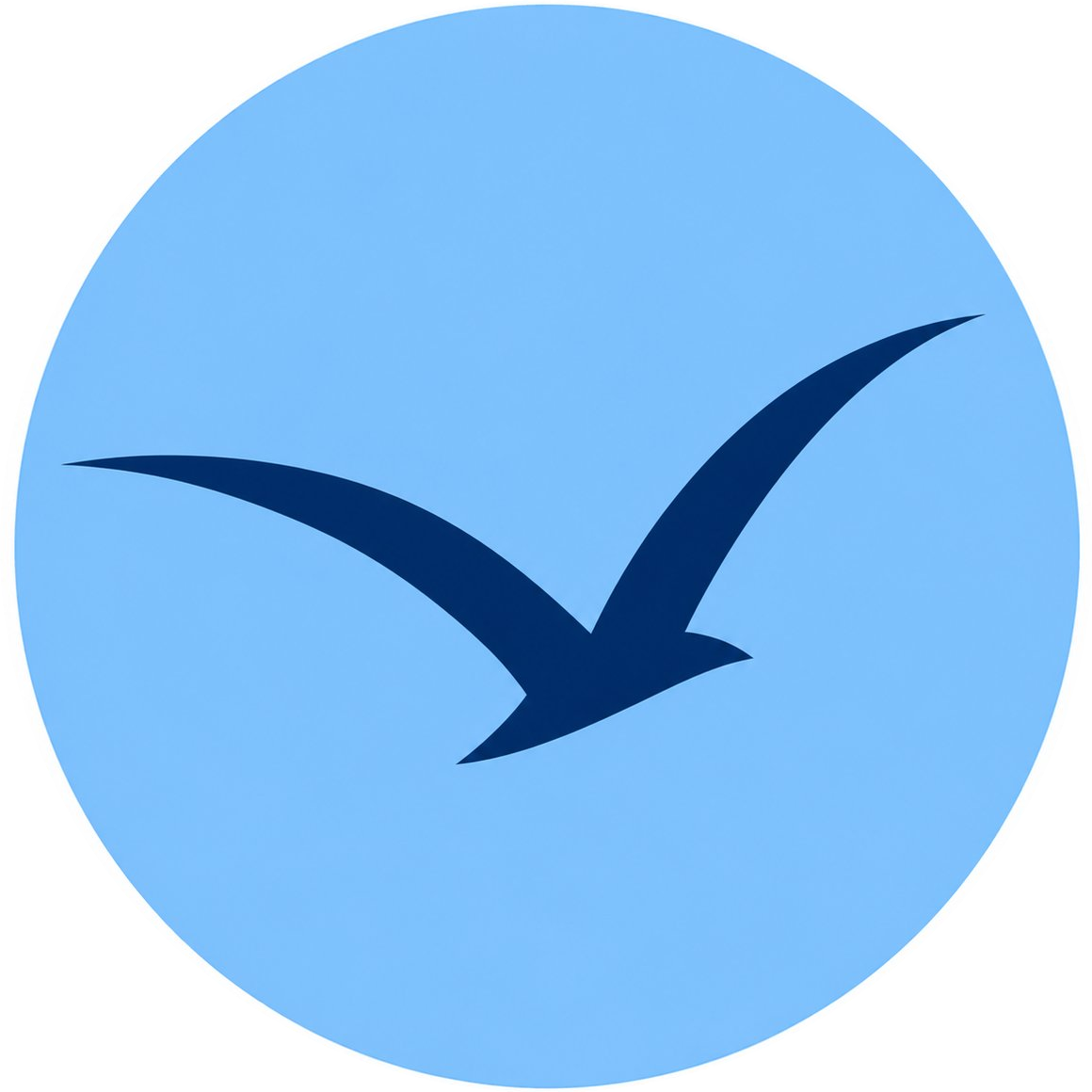 Blue Gull Solutions